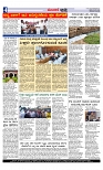 Web-page-004
